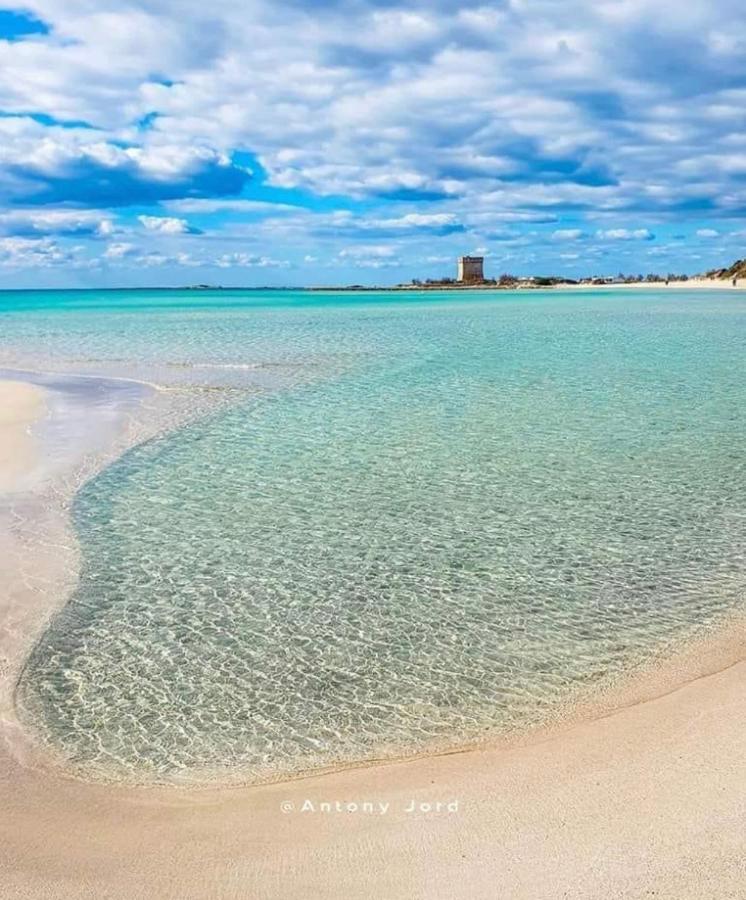 Affittasi Casa Vacanza A Casa Di Emma ليفيرانو المظهر الخارجي الصورة