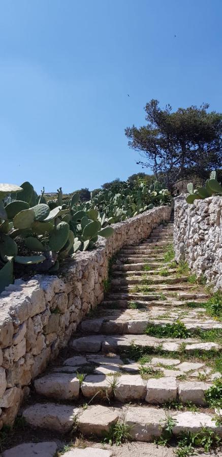 Affittasi Casa Vacanza A Casa Di Emma ليفيرانو المظهر الخارجي الصورة