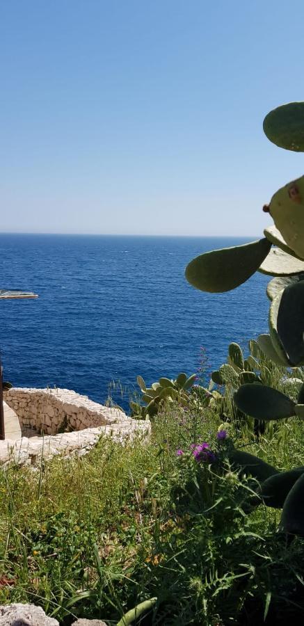 Affittasi Casa Vacanza A Casa Di Emma ليفيرانو المظهر الخارجي الصورة